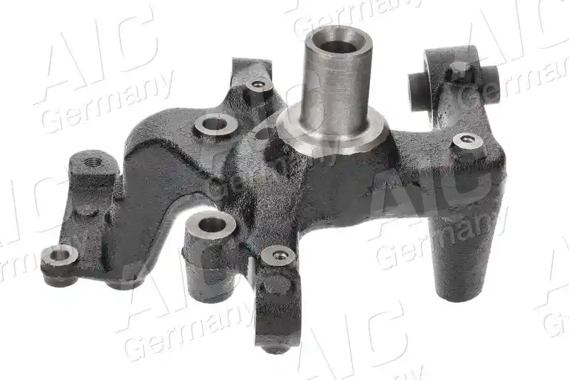 AIC 56113