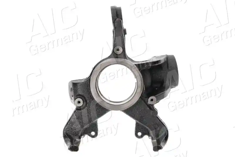 AIC 57196