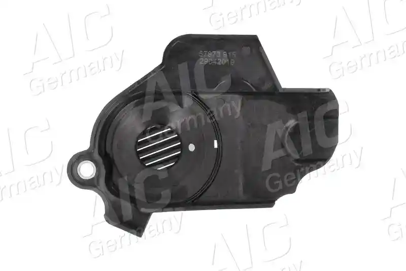 AIC 57973