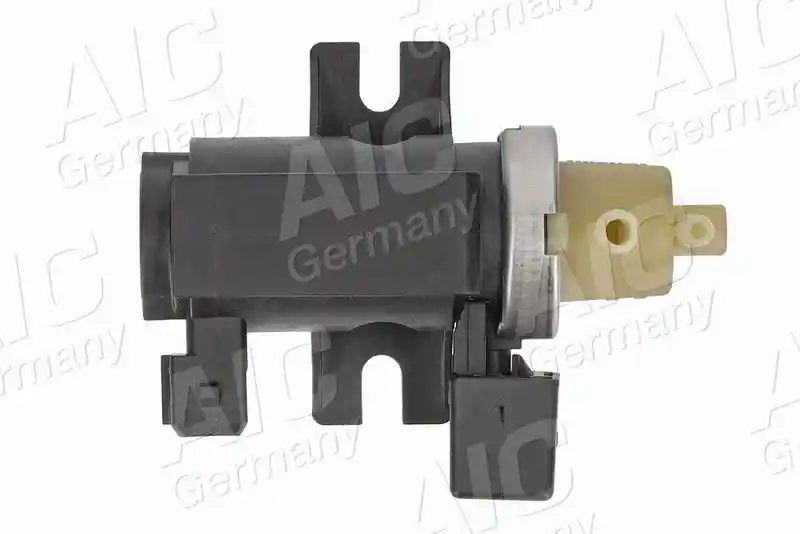 AIC 58066
