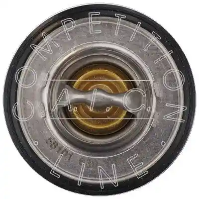 AIC 58101