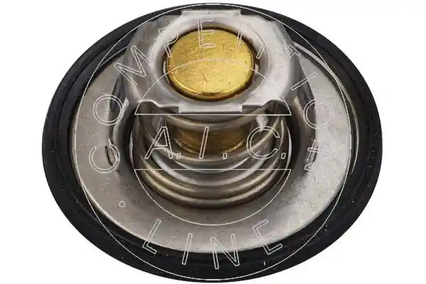 AIC 58101