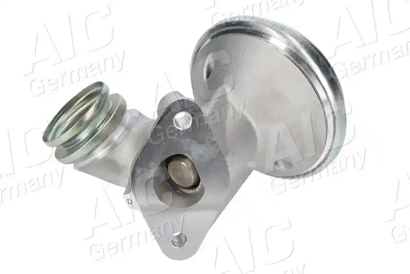 AIC 70381
