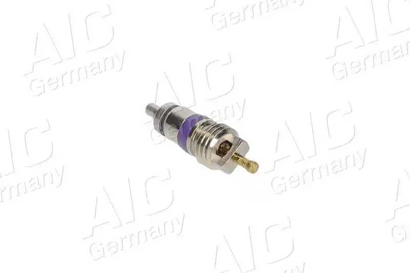 AIC 71323