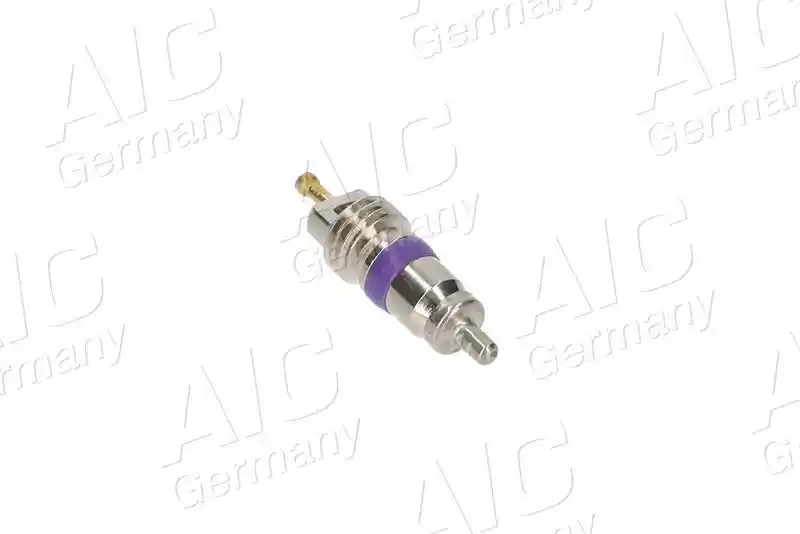 AIC 71323