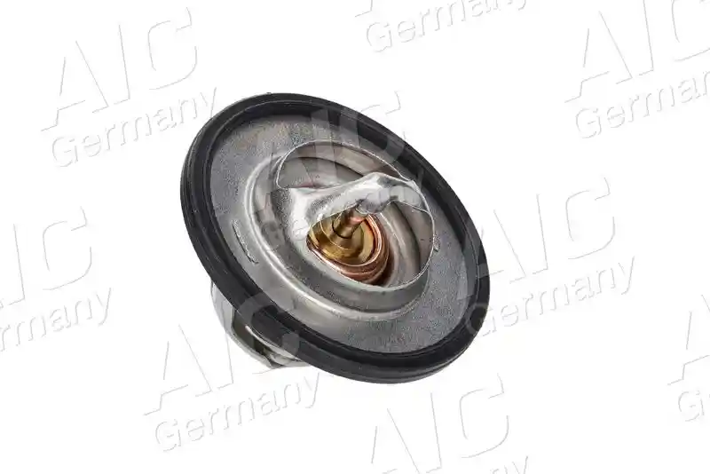 AIC 75179