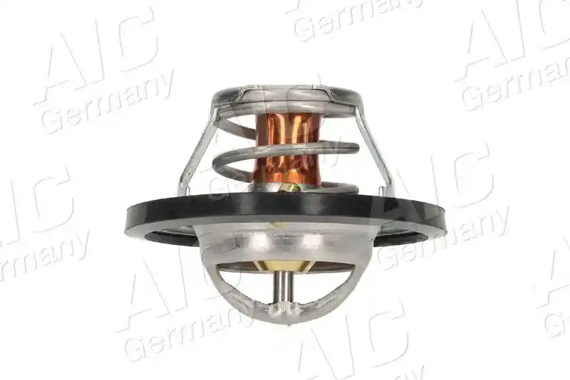 AIC 75191