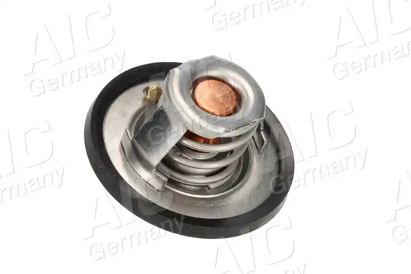AIC 75191