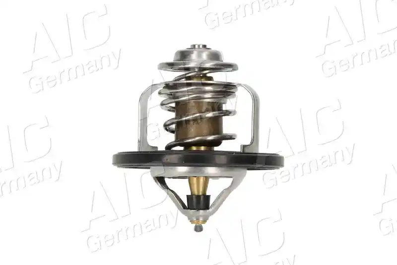 AIC 75194