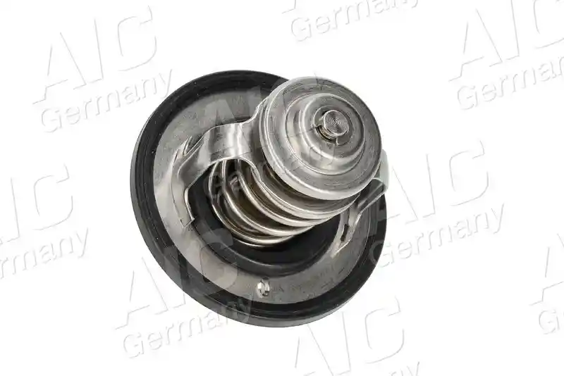 AIC 75194