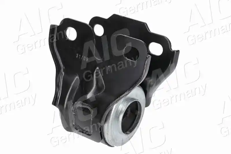 AIC 75451