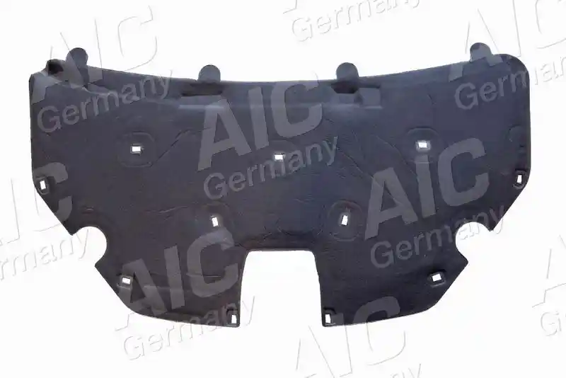 AIC 75875