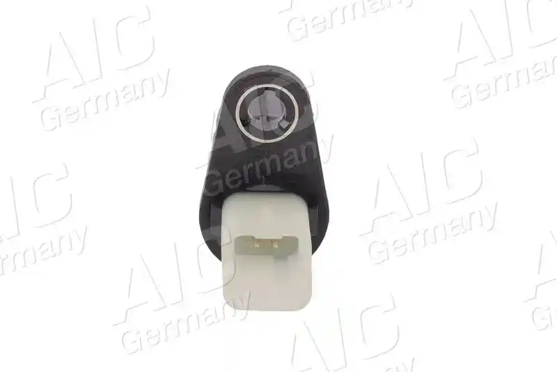 AIC 77799