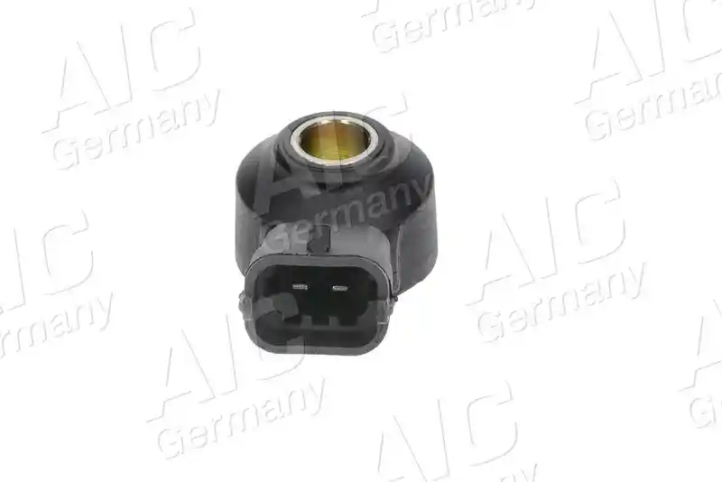 AIC 77810