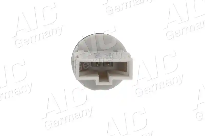 AIC 77831