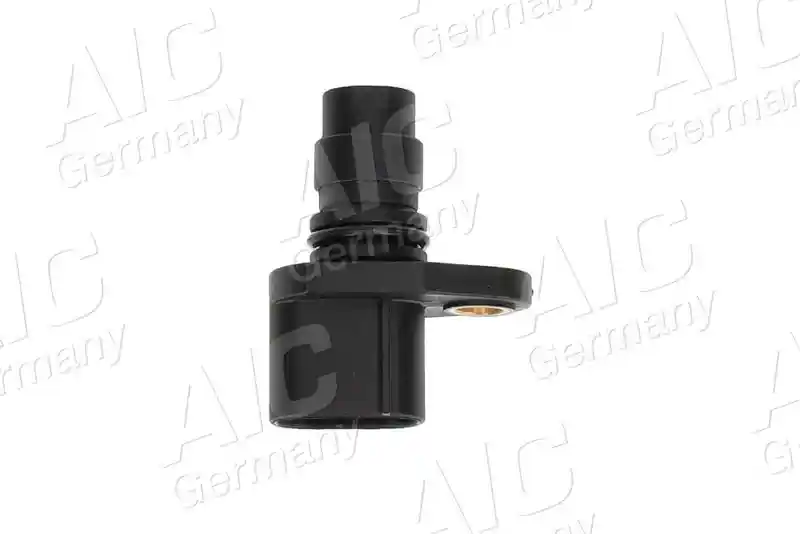 AIC 77866