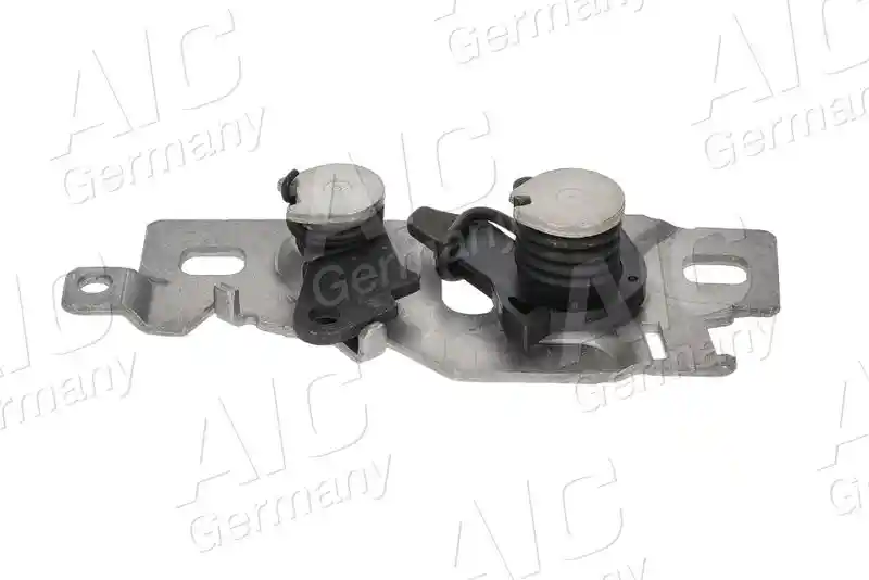 AIC 79715