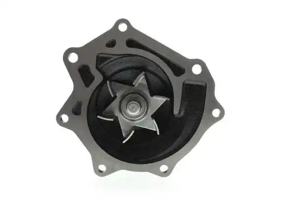 AISIN WPN-006