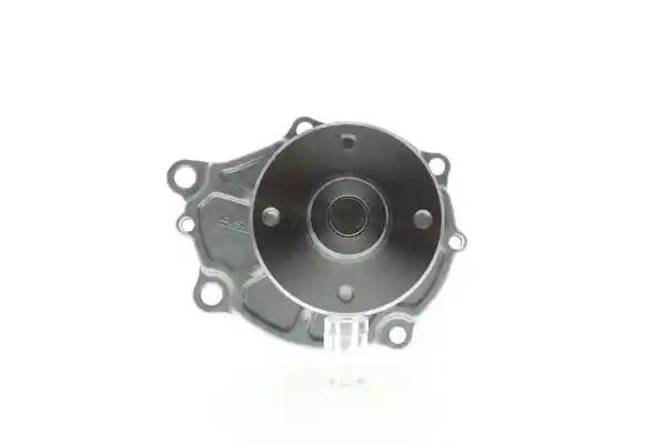 AISIN WPN-013