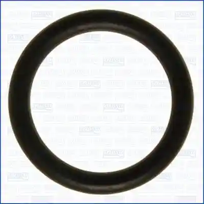 AJUSA 16072500