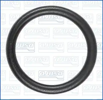 AJUSA 16079000