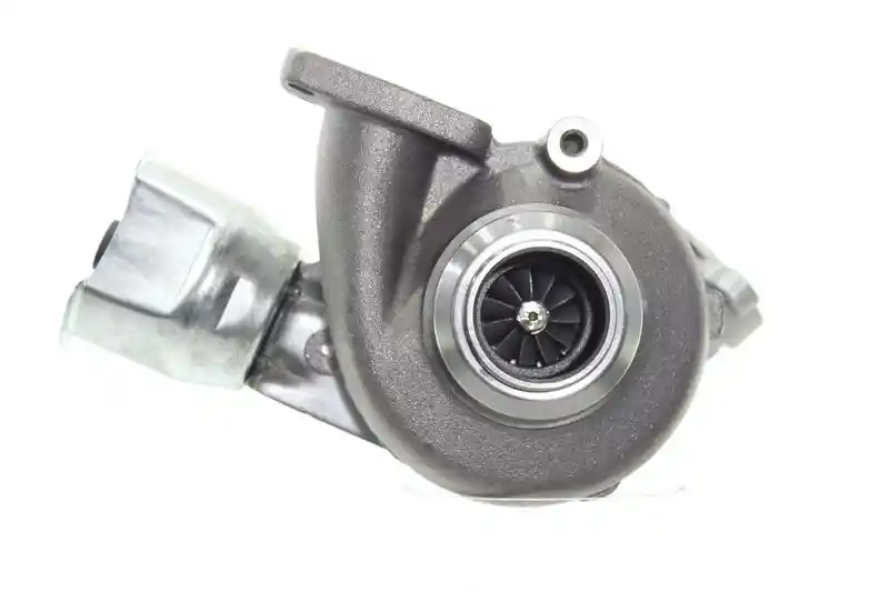 ALANKO 10901099