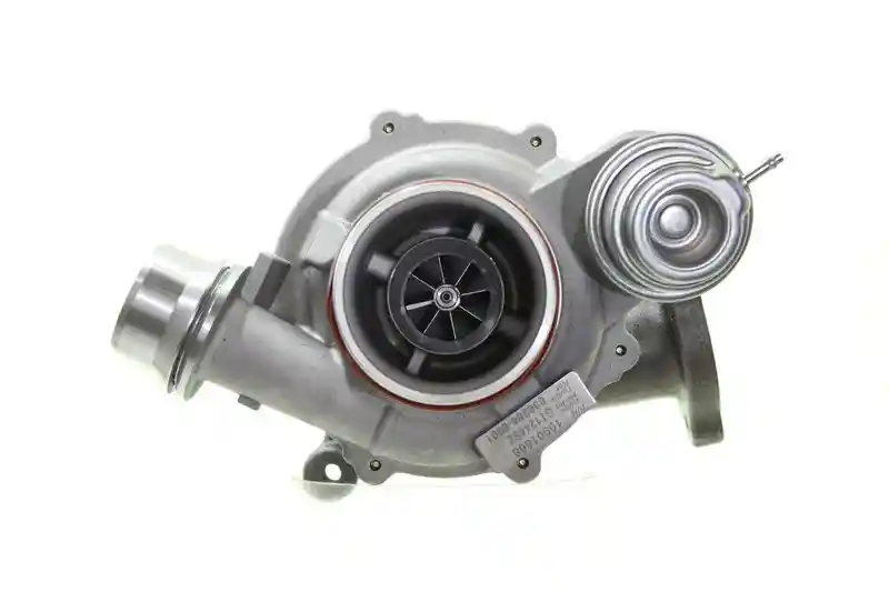 ALANKO 10901868