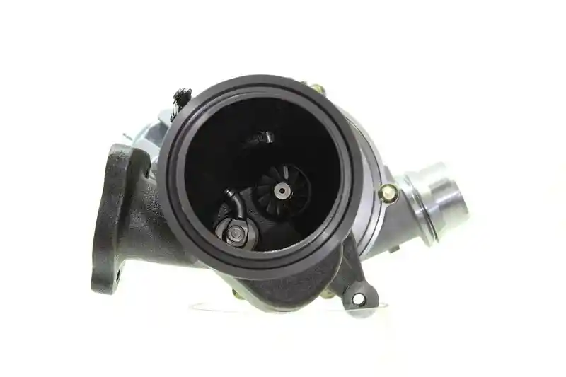 ALANKO 10901868