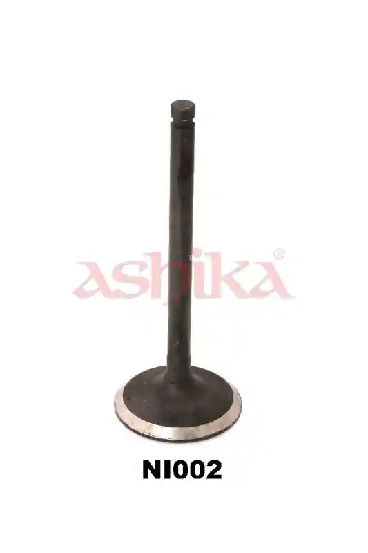 ASHIKA 15NI002 ASHIKA 15NI002