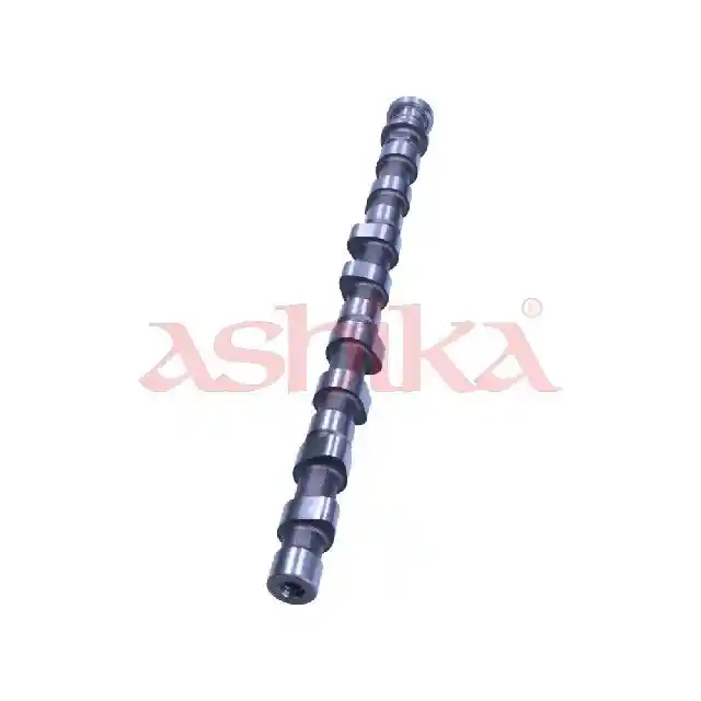ASHIKA 16MI013