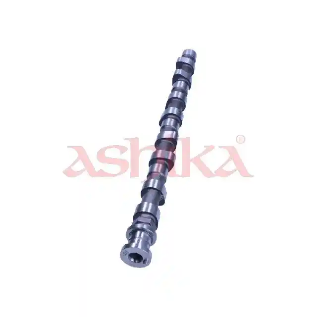 ASHIKA 16MI013