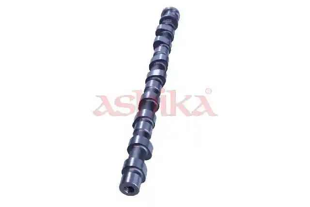 ASHIKA 16MI014