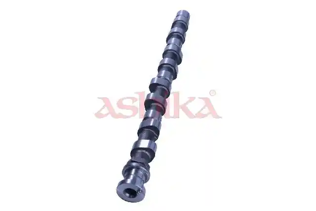 ASHIKA 16MI014