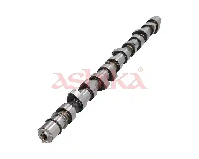 ASHIKA 16NS007