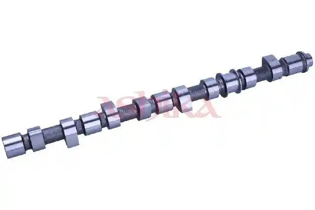 ASHIKA 16NS017