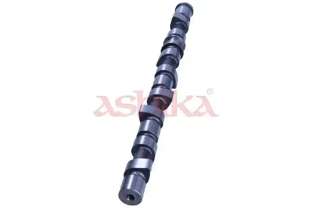 ASHIKA 16NS017