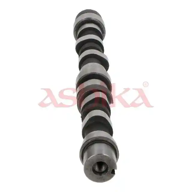 ASHIKA 16SZ004 ASHIKA 16SZ004