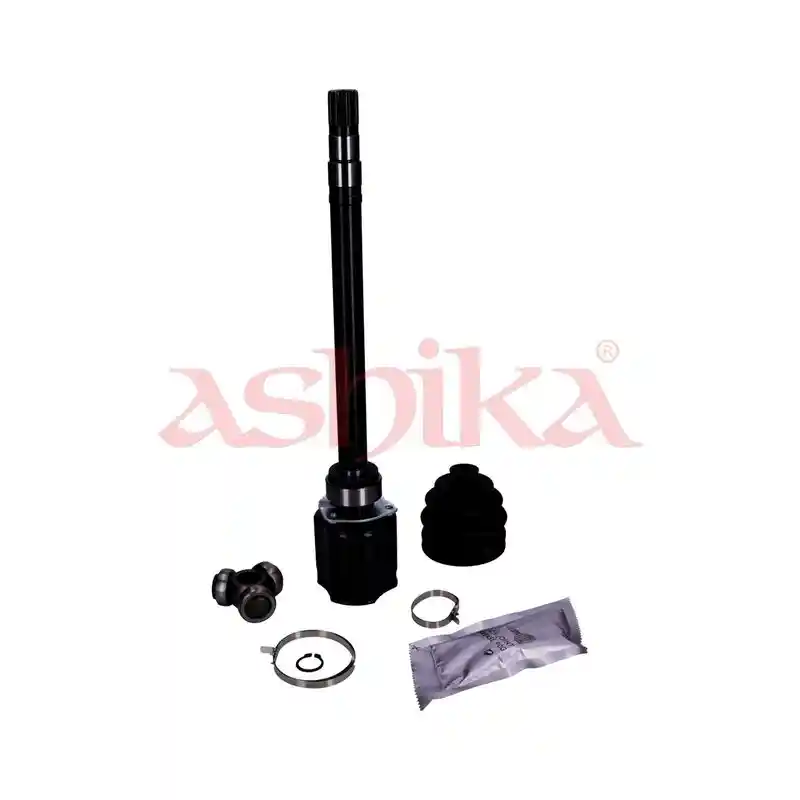 ASHIKA 62-00-0202