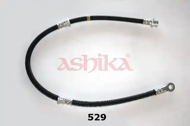 ASHIKA 69-05-529