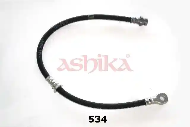ASHIKA 69-05-534 ASHIKA 69-05-534