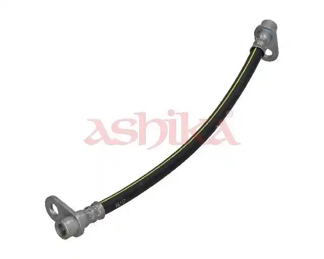 ASHIKA 69-05-587 ASHIKA 69-05-587