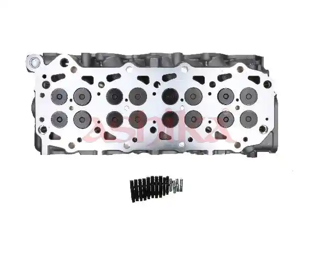 ASHIKA NS030S