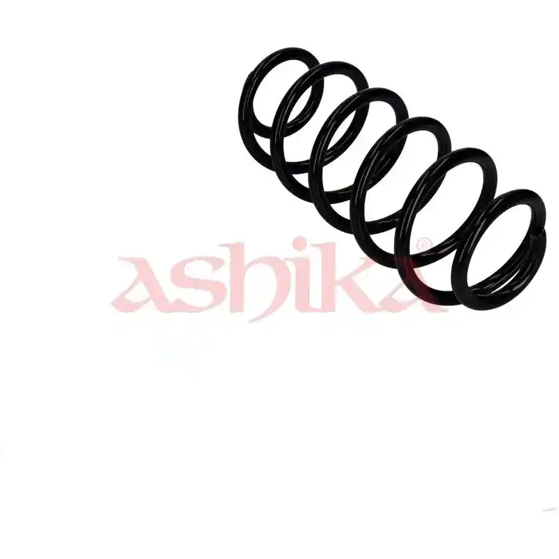 ASHIKA ZCA90309