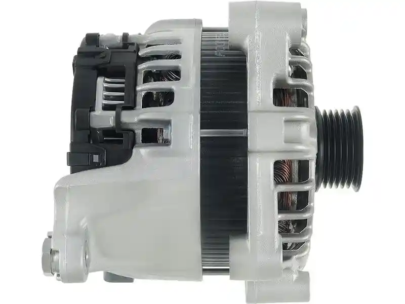 AS-PL A01006(SEG)