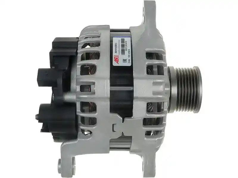 AS-PL A01010(SEG)