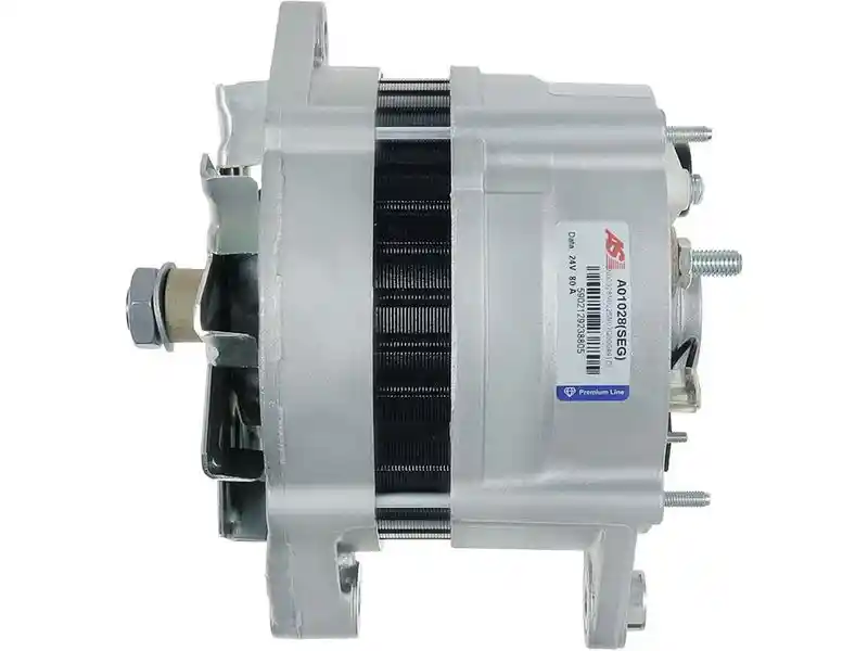 AS-PL A01028(SEG)