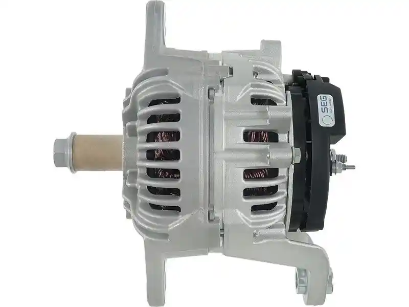 AS-PL A01081(SEG)