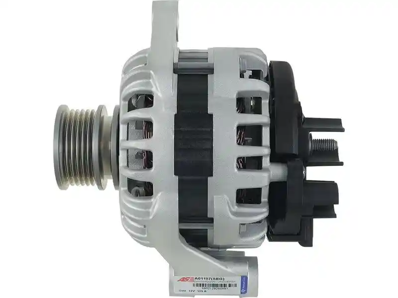 AS-PL A01157(SEG)
