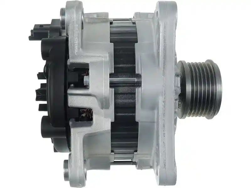 AS-PL A01185(SEG)