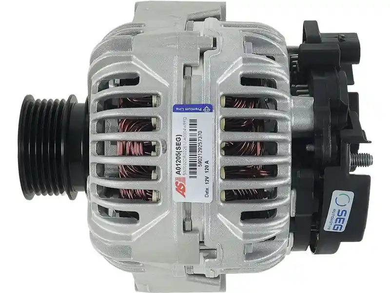 AS-PL A01205(SEG)